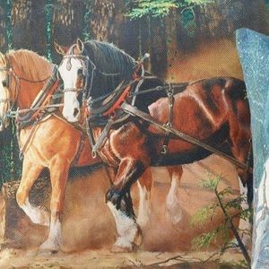 BEAUTIFUL Horse Pillow🐴